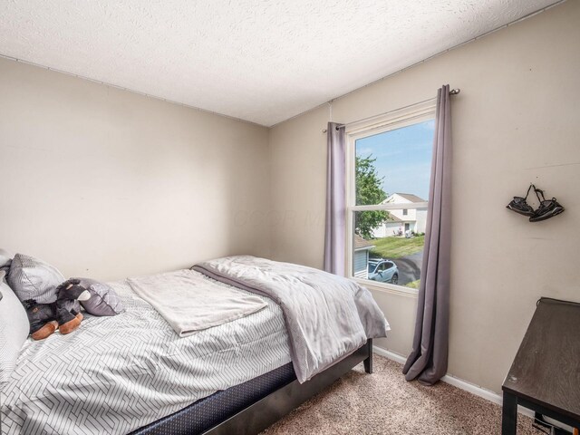 1384 Hepatica St, Blacklick, OH 43004 - photo 24