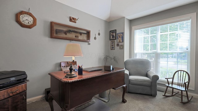 5403 Port Haven Dr, Galena, OH 43021 - photo 24