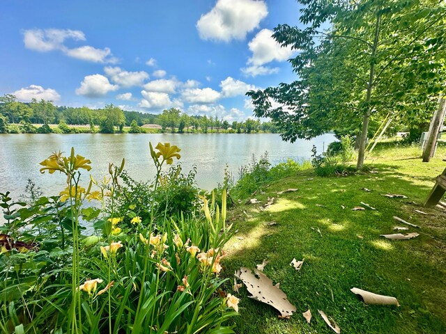 4145 Old River Rd, Philo, OH 43771 - photo 5