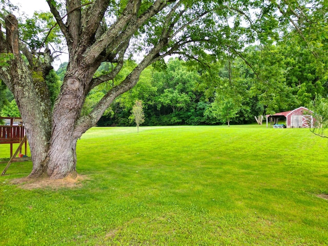 4145 Old River Rd, Philo, OH 43771 - photo 17