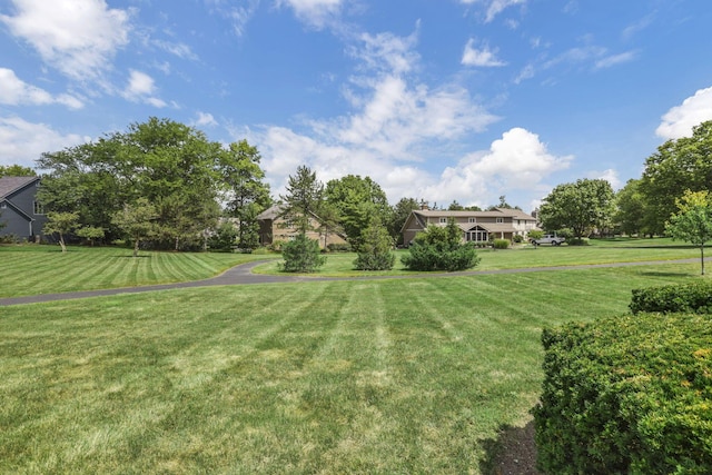 5900 Saint Fillans Ct E, Dublin, OH 43017 - photo 41