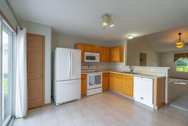 1369 Geranium Dr, Blacklick, OH 43004 - photo 8