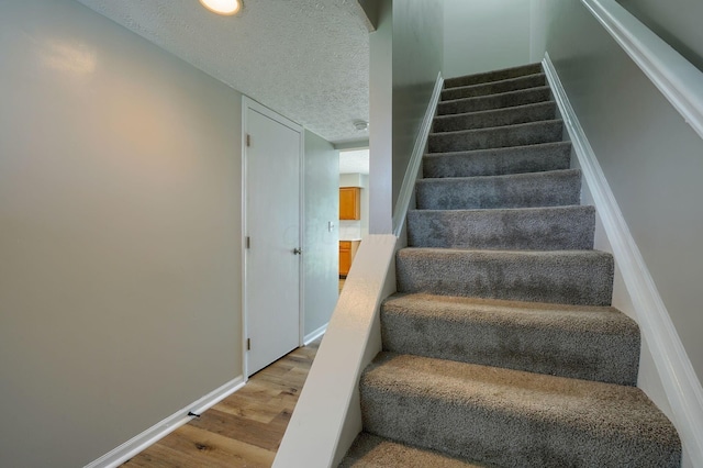 4301 Owl Ct, Grove City, OH 43123 - photo 23