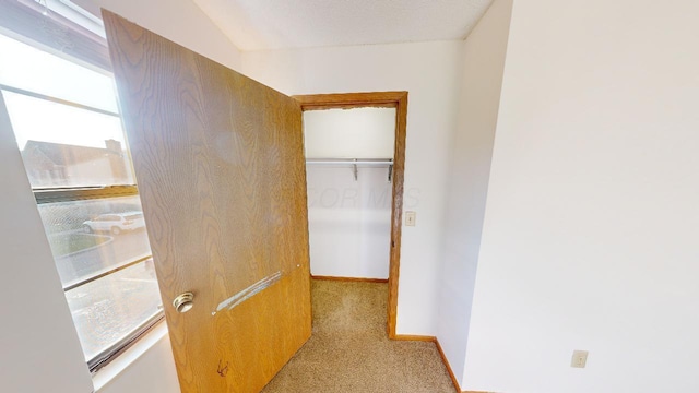 5277 Brandy Oaks Ln, Columbus, OH 43220 - photo 35