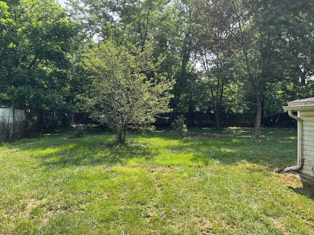 20 Wells St, Delaware, OH 43015 - photo 4