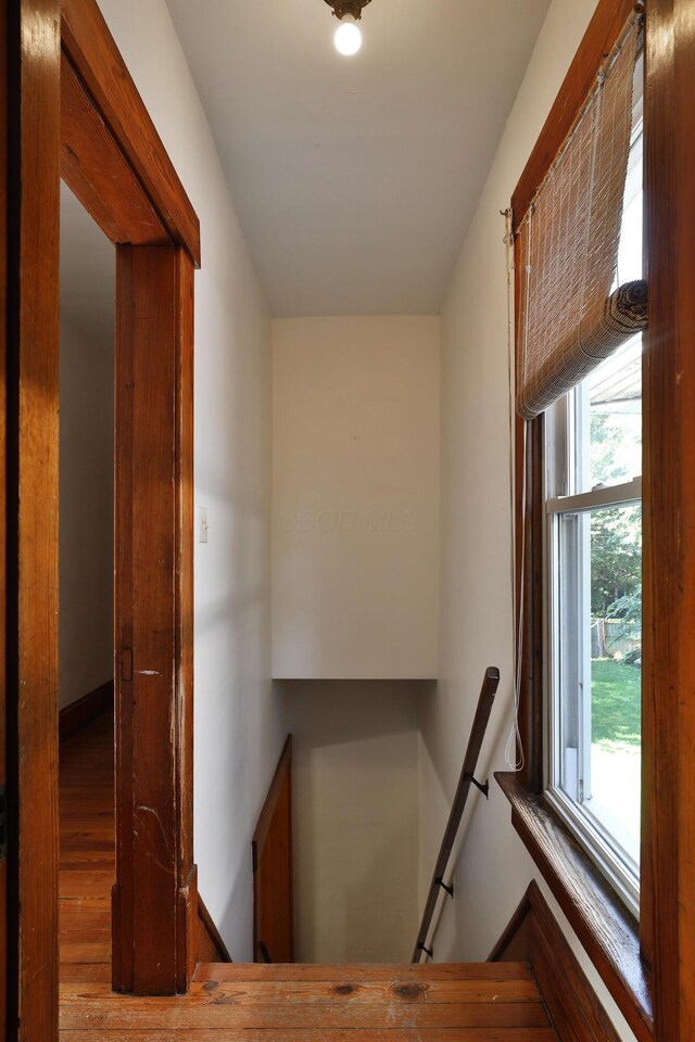 109 W Pacemont Rd, Columbus, OH 43202 - photo 22