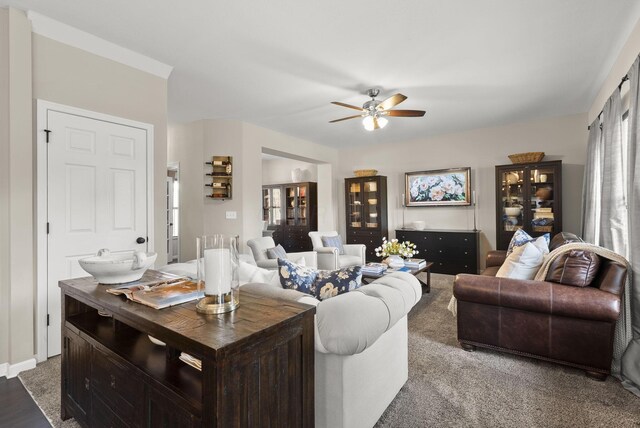 504 Longview St, Pickerington, OH 43147 - photo 8