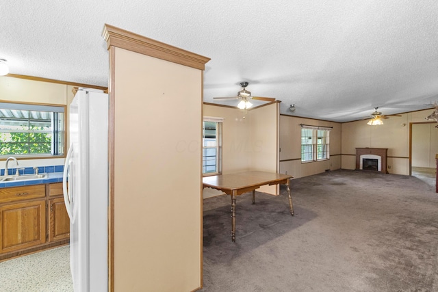 4437 Nevada Dr E, Columbus, OH 43207 - photo 12