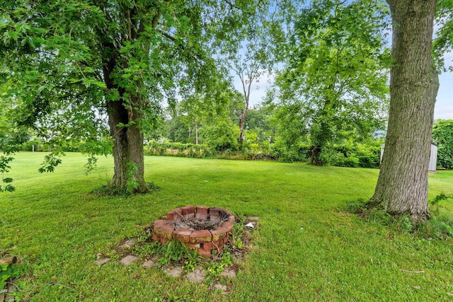 63 Joy Ave, Delaware, OH 43015 - photo 4