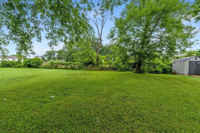 63 Joy Ave, Delaware, OH 43015 - photo 5
