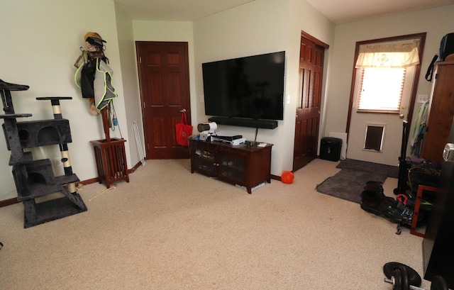 6430 Rossmore Ln, Canal Winchester, OH 43110 - photo 32