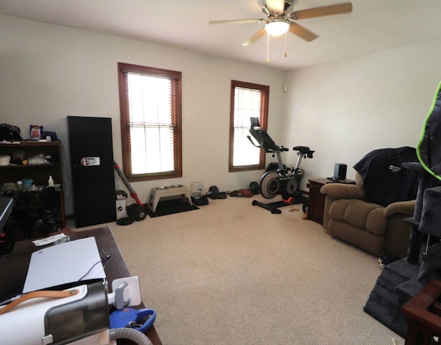 6430 Rossmore Ln, Canal Winchester, OH 43110 - photo 31