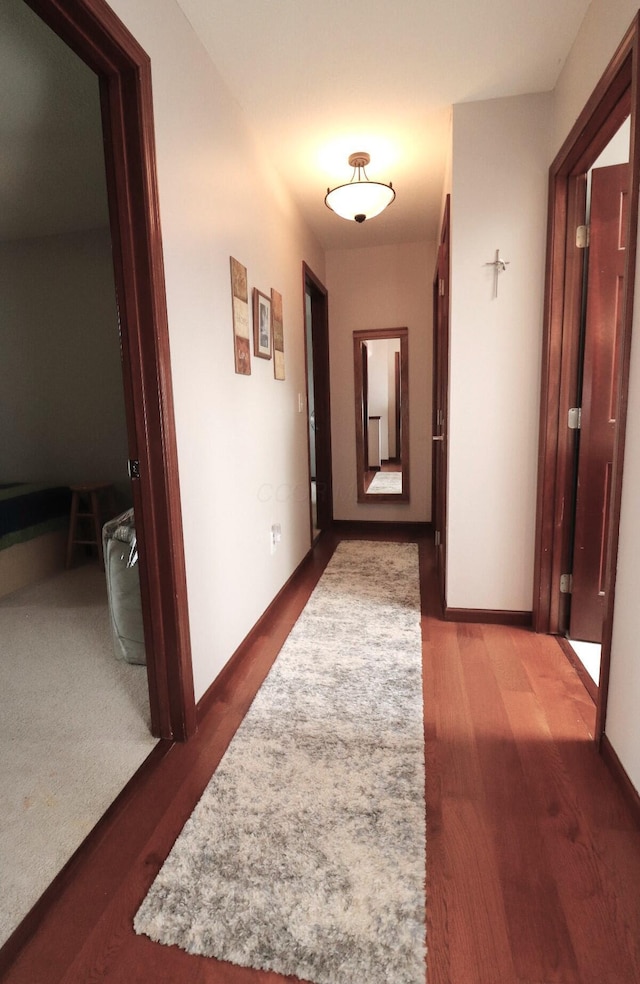 6430 Rossmore Ln, Canal Winchester, OH 43110 - photo 40