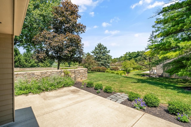 5774 Strathmore Ln Unit 31, Dublin, OH 43017 - photo 5