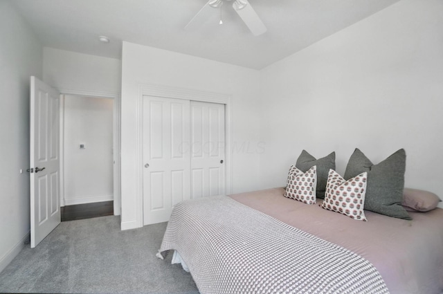 10543 Calla Lily Way, Plain City, OH 43064 - photo 29
