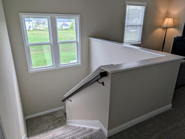 6013 Honey Farm Way, Grove City, OH 43123 - photo 18