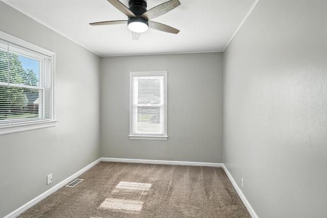 1503 Lamar Dr, Springfield, OH 45504 - photo 11