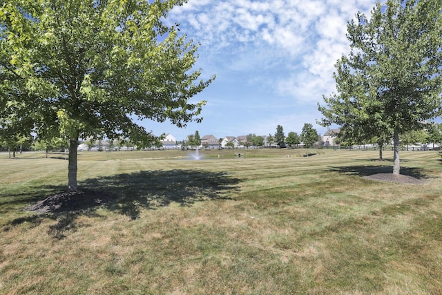 315 Timbersmith Dr, Delaware, OH 43015 - photo 73