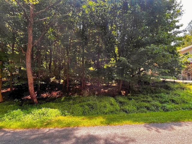 0 Lakeview Heights Dr, Howard, OH 43028 - photo 1