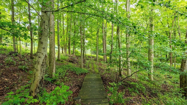 275 Bridle Path Ln, Granville, OH 43023 - photo 3