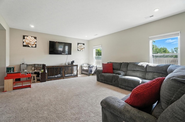 502 Conley Dr, Commercial Point, OH 43116 - photo 11
