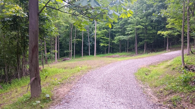7211 Mulberry Rd St NE (Lot J Woods Flint Ridge), Newark, OH 43055 - photo 8