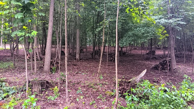 7211 Mulberry Rd St NE (Lot J Woods Flint Ridge), Newark, OH 43055 - photo 11