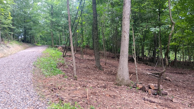7211 Mulberry Rd St NE (Lot J Woods Flint Ridge), Newark, OH 43055 - photo 14