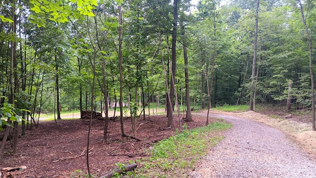7211 Mulberry Rd St NE (Lot J Woods Flint Ridge), Newark, OH 43055 - photo 18