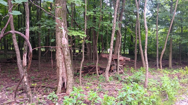 7211 Mulberry Rd St NE (Lot J Woods Flint Ridge), Newark, OH 43055 - photo 20