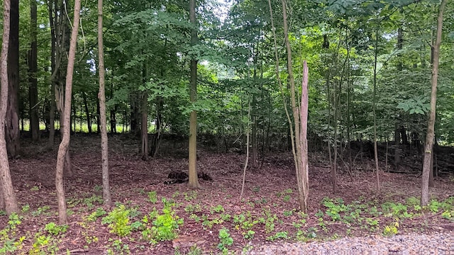 7211 Mulberry Rd St NE (Lot J Woods Flint Ridge), Newark, OH 43055 - photo 24