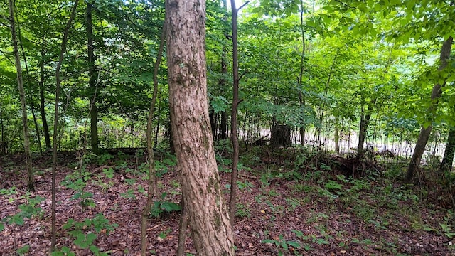 7211 Mulberry Rd St NE (Lot J Woods Flint Ridge), Newark, OH 43055 - photo 30