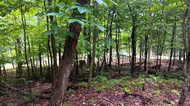 7211 Mulberry Rd St NE (Lot J Woods Flint Ridge), Newark, OH 43055 - photo 31