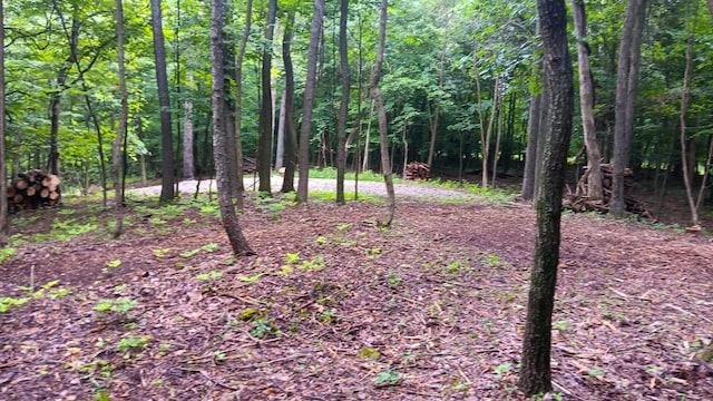 7211 Mulberry Rd St NE (Lot J Woods Flint Ridge), Newark, OH 43055 - photo 32