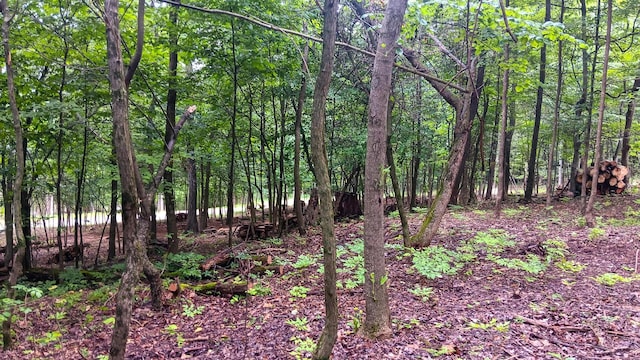 7211 Mulberry Rd St NE (Lot J Woods Flint Ridge), Newark, OH 43055 - photo 34