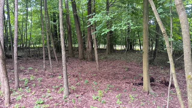 7211 Mulberry Rd St NE (Lot J Woods Flint Ridge), Newark, OH 43055 - photo 35
