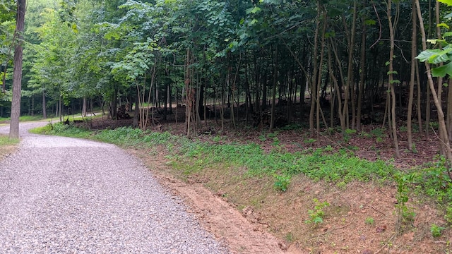 7211 Mulberry Rd St NE (Lot J Woods Flint Ridge), Newark, OH 43055 - photo 43
