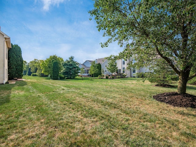 8041 Summerhouse Dr E, Dublin, OH 43016 - photo 59