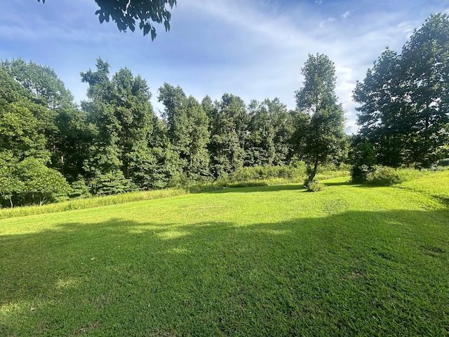 0 Riegel Ridge Rd, Jackson, OH 45640 - photo 2