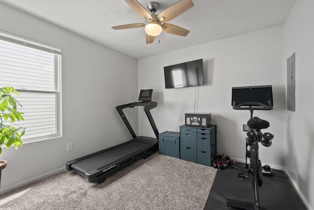 5269 Valley Forge St, Orient, OH 43146 - photo 20