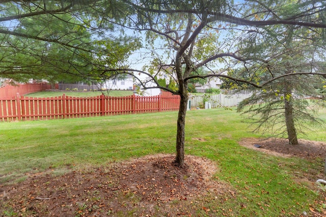 9125 Parkbury Ln, Lewis Center, OH 43035 - photo 24