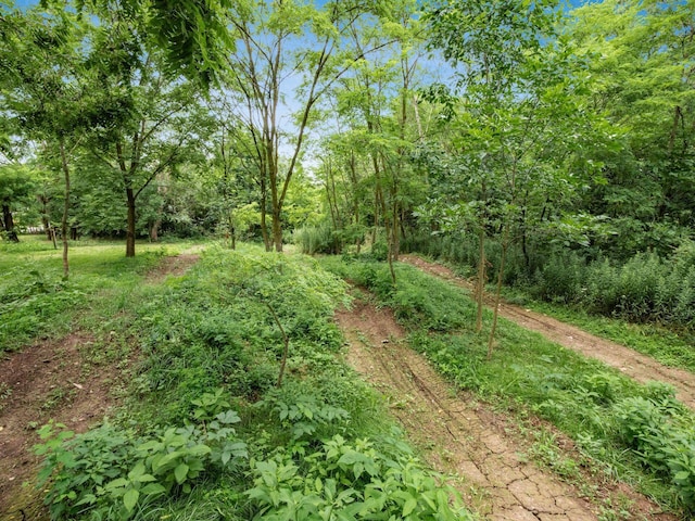 26270 State Route 31, Raymond, OH 43067 - photo 45