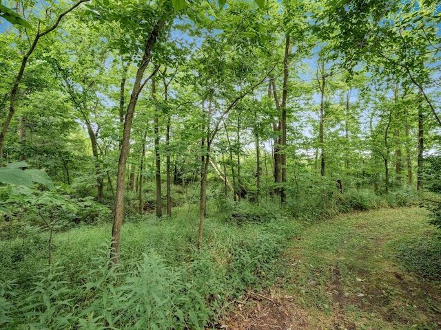 26270 State Route 31, Raymond, OH 43067 - photo 46