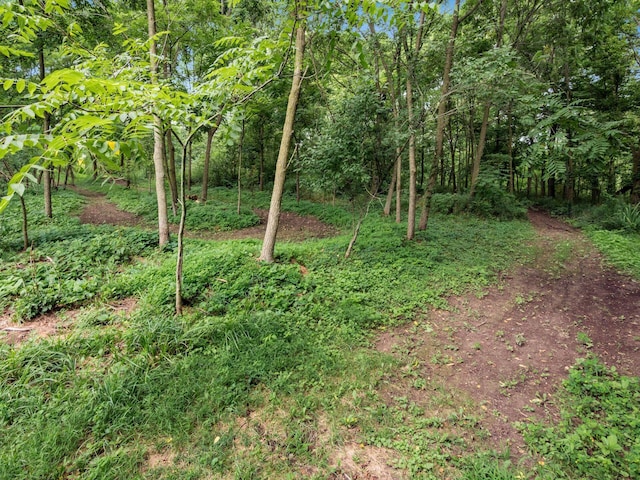 26270 State Route 31, Raymond, OH 43067 - photo 47