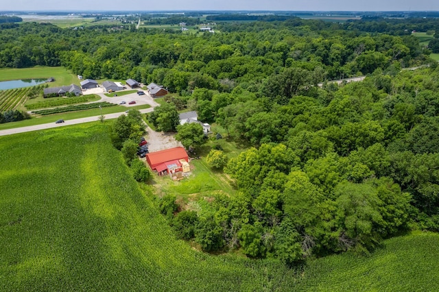 26270 State Route 31, Raymond, OH 43067 - photo 52