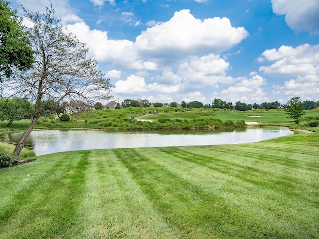 9120 Tartan Fields Dr, Dublin, OH 43017 - photo 77
