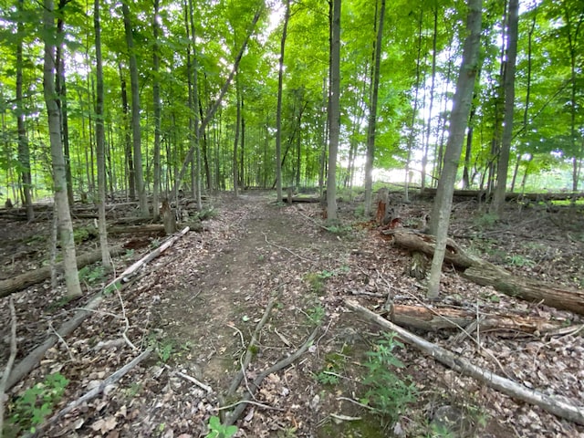 1934 County Rd 194, Fredericktown, OH 43019 - photo 26
