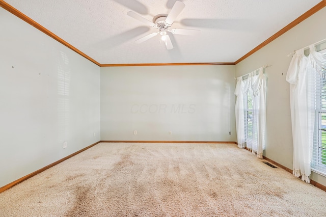 320 Spruce Hill Dr, Columbus, OH 43230 - photo 6