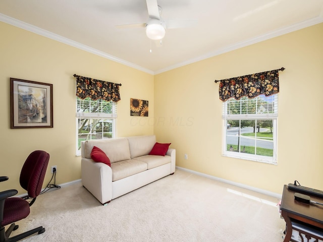 7384 Deer Valley Xing, Powell, OH 43065 - photo 19