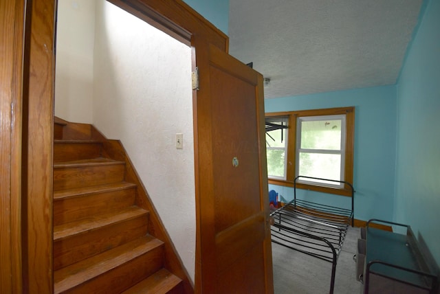 255 Eldon Ave, Columbus, OH 43204 - photo 27